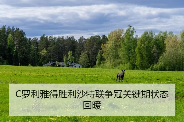 C罗利雅得胜利沙特联争冠关键期状态回暖