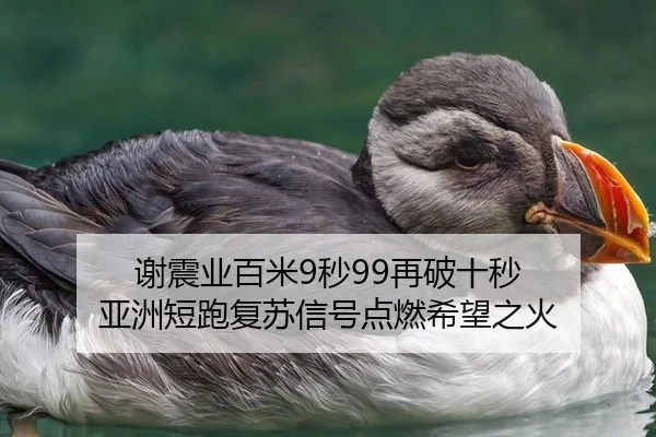 xie-zhen-ye-bai-mi-miao-zai-po-shi-miao-ya-zhou-duan-pao-fu-su-xin-hao-dian-ran-xi-wang-zhi-huo-3-712.jpg