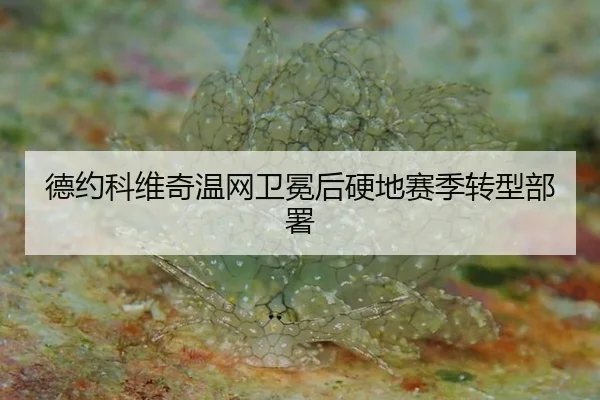de-yue-ke-wei-qi-wen-wang-wei-mian-hou-ying-di-sai-ji-zhuan-xing-bu-shu-3-373.jpg